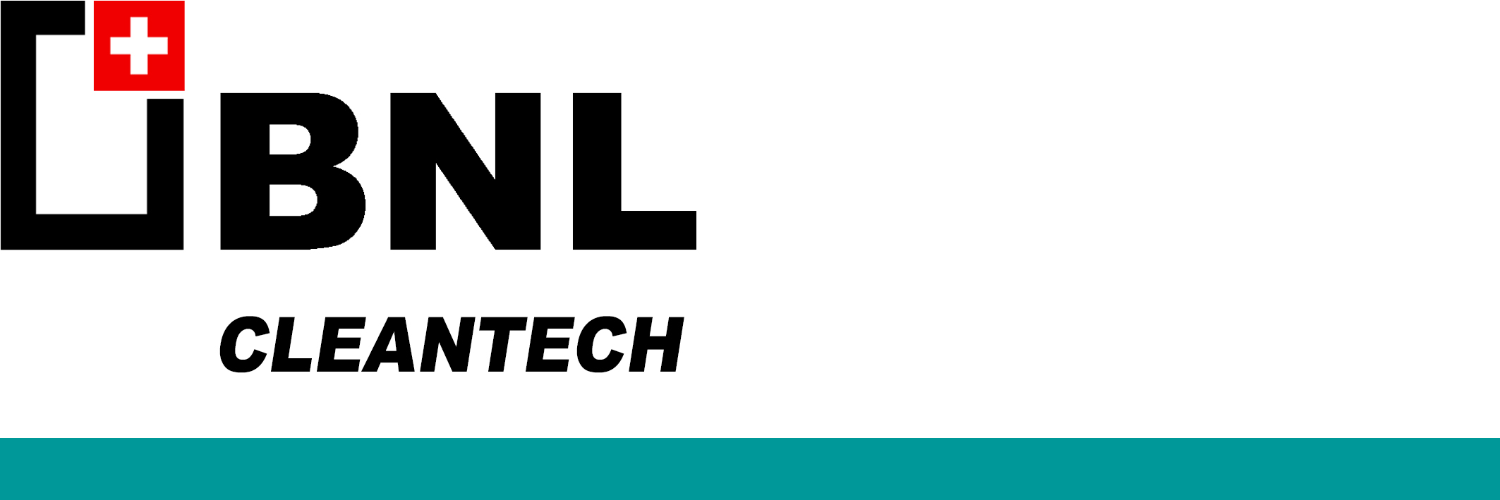 BNL Cleantech Group